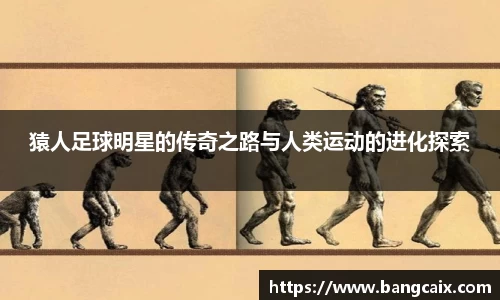 金年会金字招牌信誉至上